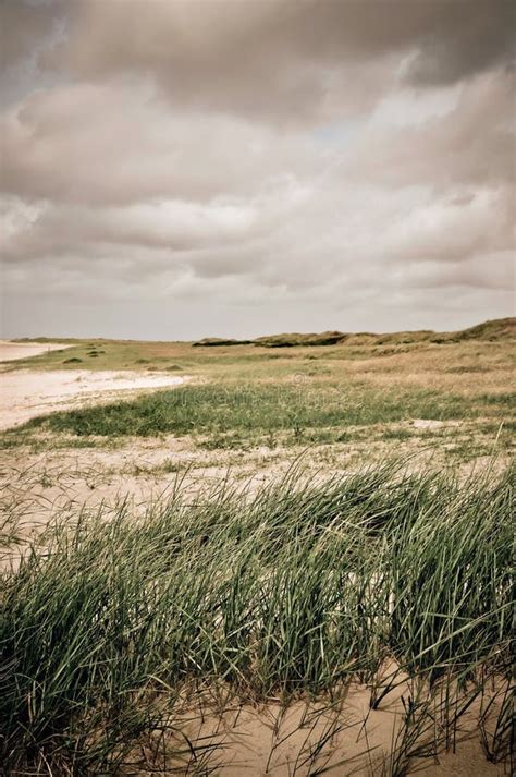 Typical Landscape in Jutland, Denmark Stock Photo - Image of outdoor ...