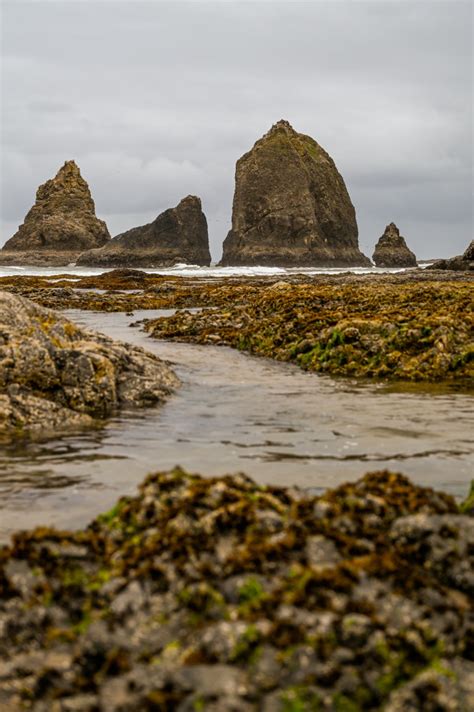 Why Oceanside, Oregon is Worth a Visit: A Hidden Gem on the Oregon Coast