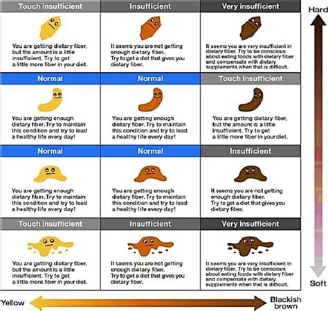 12+ Free Printable Stool Color Charts (Word | PDF)