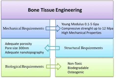 Scaffold requirements for the bone tissue engineering applications. | Download Scientific Diagram