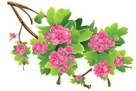 Spring Branch Transparent PNG Clipart Picture | Flower clipart ...