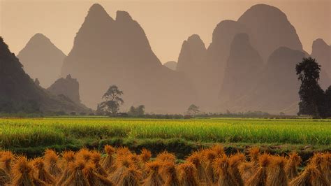 Harvested rice fields at sunset near Yangshuo, Guangxi Region of China | Windows Spotlight Images