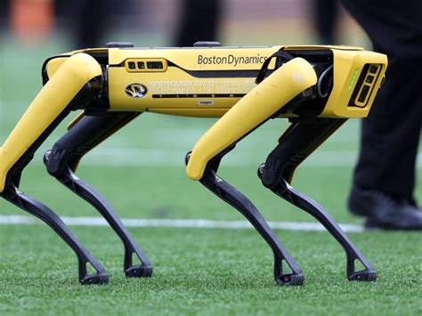 LAPD Is Getting A Boston Dynamics 'Robot Dog,' Despite Concerns | Hollywood, CA Patch