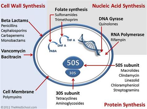 An Overview On Various types of Antibiotics Mechanism of Action