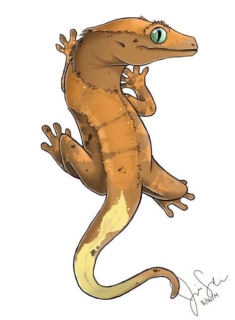 Crested Gecko by CsillasArtBeats on DeviantArt