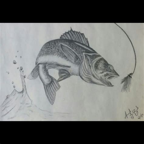 Walleye - Sketches - Drawings & Illustration, Animals, Birds, & Fish, Aquatic Life, Fish ...