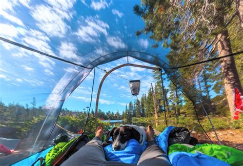 Lake Tahoe's Least Crowded and Most Photogenic Campsite | Tahoe, Campsite, Lake tahoe