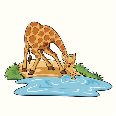 animal drinking water clipart 10 free Cliparts | Download images on Clipground 2024