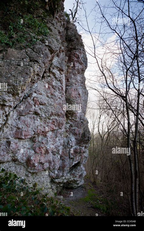 Ippikin's Rock, Wenlock Edge, Much Wenlock, Shropshire Stock Photo - Alamy