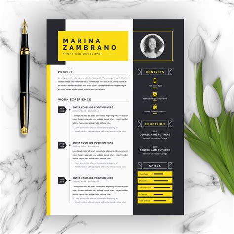 21+ Best Contemporary (New Styles) Resume CV Templates (For 2019/2020) - ResumeInventor