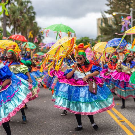 Dominican Republic Carnival 2025 - Ellyn Hillary