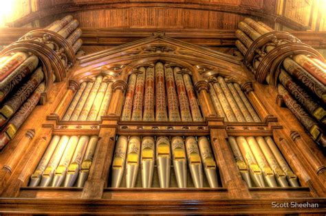 "St Paul's Cathedral Organ" by Scott Sheehan | Redbubble