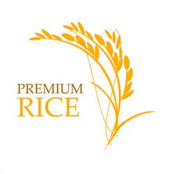 Rice Logo Vector Images (over 11,000)