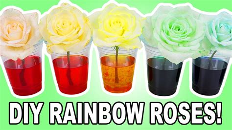 DIY RAINBOW ROSES! - YouTube