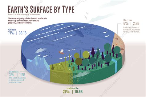 Earth's surface by type, infographic chart - Stock Image - F037/4758 - Science Photo Library