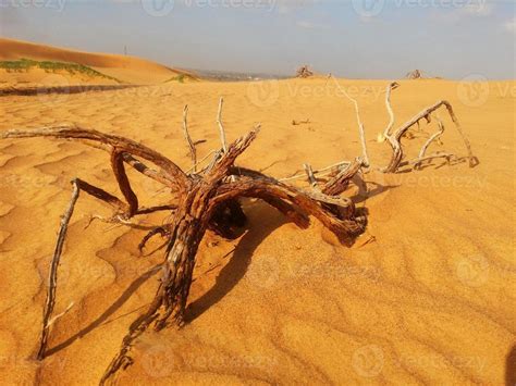 Sand dunes in the desert 10204692 Stock Photo at Vecteezy