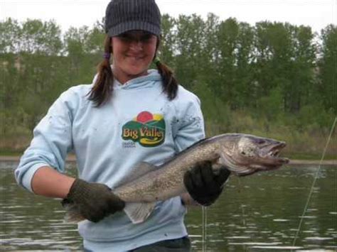 North Saskatchewan River Fishing Goldeye Sturgeon Walleye - YouTube