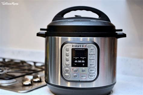 Instant Pot Pressure Cooker Review + Recipes