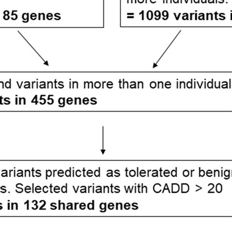 Pipeline of selected variants obtained by whole exome sequencing of 12 ...