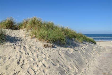 Premium Photo | Langeoog beach