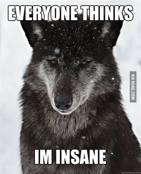 Sad Wolf - 9GAG