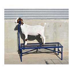 Goat & Sheep Equipment | Farm & Ranch Supplies