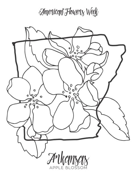 50 State Flowers — Free Coloring Pages – american flowers week