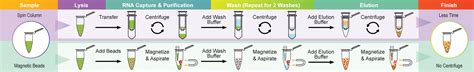 Viral RNA Extraction Kits | EpigenTek