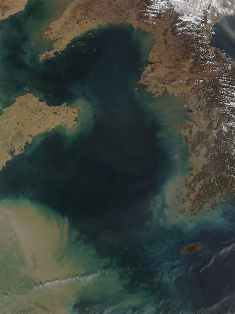 NASA Visible Earth: Phytoplankton and sediments in Yellow Sea