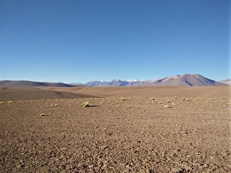 Salt flats Atacama desert, Chili : r/natureporn