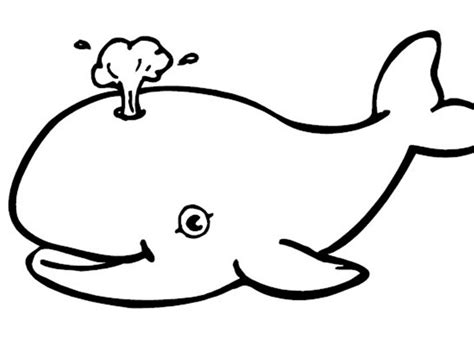 Whale Outline Drawing | Free download on ClipArtMag