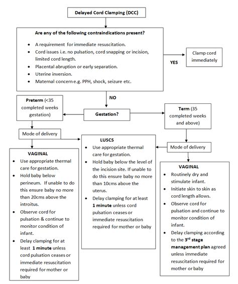 Cord clamping guidelines