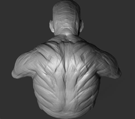 ArtStation - Base Mesh | Resources