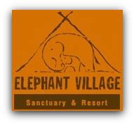 Book a Tour - All Agency - Elephant Village