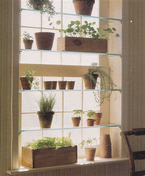 Bring Nature Indoors with a Window Herb Garden