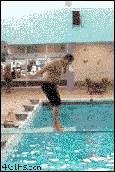 Diving fail GIF on GIFER - by Arcaneshade