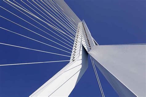 Detail of Erasmusbrug (Erasmus Bridge) | Getty Images Gallery