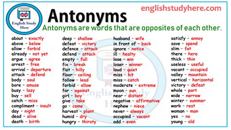 Antonyms / Opposite Words Archives - English Study Here