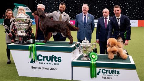 Crufts Dog Show 2023 live: All the latest updates from Day 2