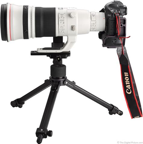 Canon EF 500mm f/4L IS II USM Lens Review