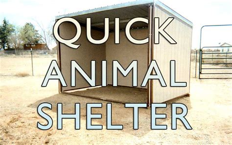 How to build a quick animal shelter - Outbuilders