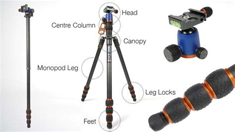 A complete guide to tripod anatomy - Camera Jabber