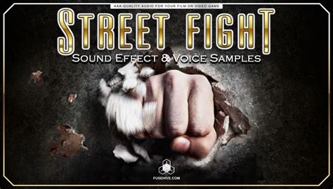 STREET FIGHTING SOUND EFFECTS LIBRARY and VOICE OVERS – Martial Arts Combat AAA Video Game ...