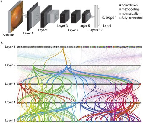 Deep neural network architecture and properties. (a) he DNN architecture comprised 8 layers ...