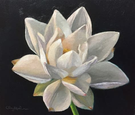 Paintings by Cheryl Meehan: White Lotus