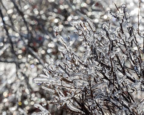 Ice Storm - Toronto 2013 | ImageWright | Flickr