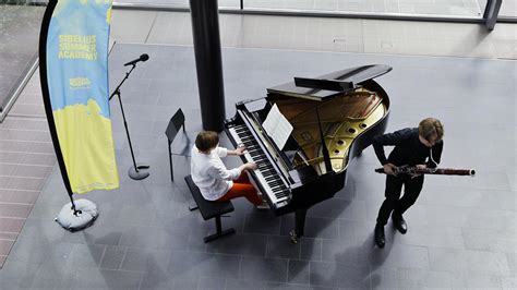 Sibelius Summer Academy courses | Uniarts Helsinki