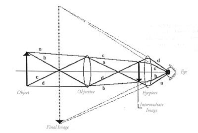 History of Science Society -- Committee on Education