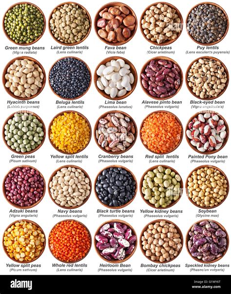 collection of legumes isolated on white with labels Stock Photo - Alamy