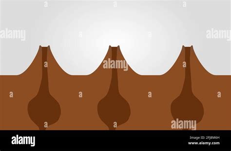 Fissure eruption diagram Stock Videos & Footage - HD and 4K Video Clips ...